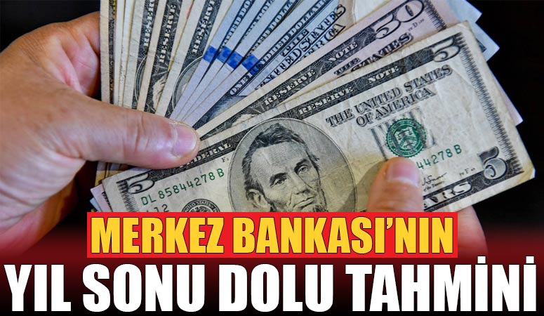 Merkez Bankası’nın yıl sonu dolar tahmini vatandaşı şaşırtacak cinsten!