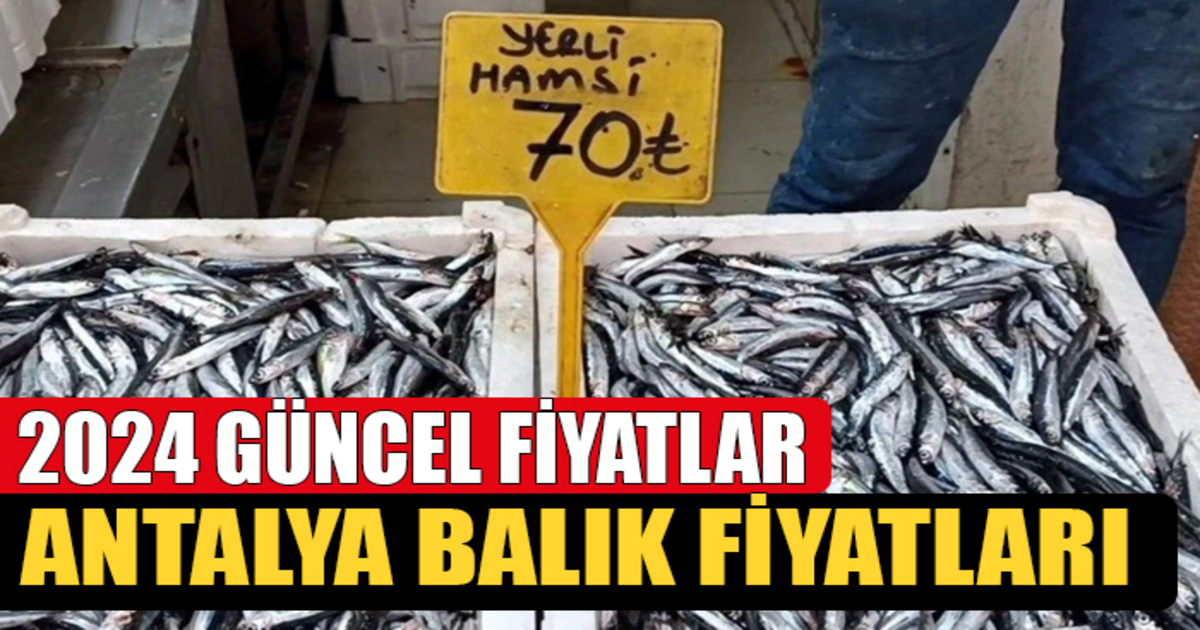 2024 Antalya’da Güncel Balık Fiyatları Nasıl ? Antalya Balık Hali Fiyatları